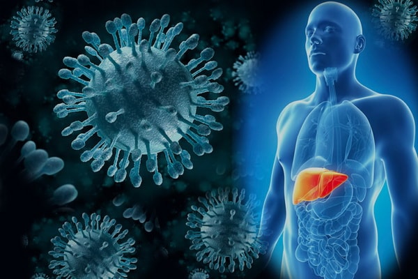 Вирус гепатита в организме человека